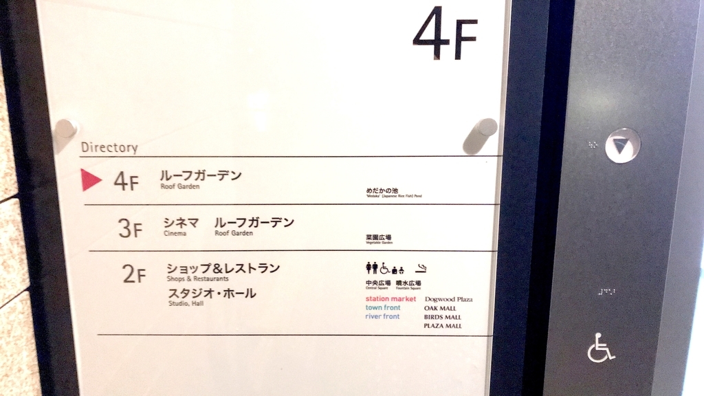 f:id:mimi_shiro:20190102154411j:plain