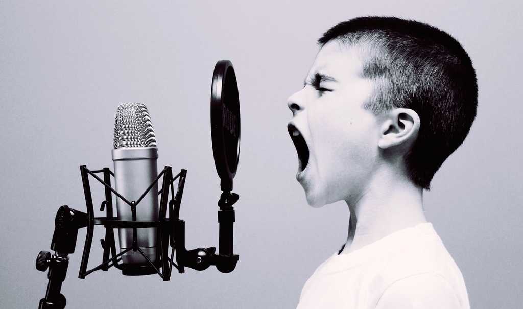 f:id:mimi_shiro:20190201011524j:plain