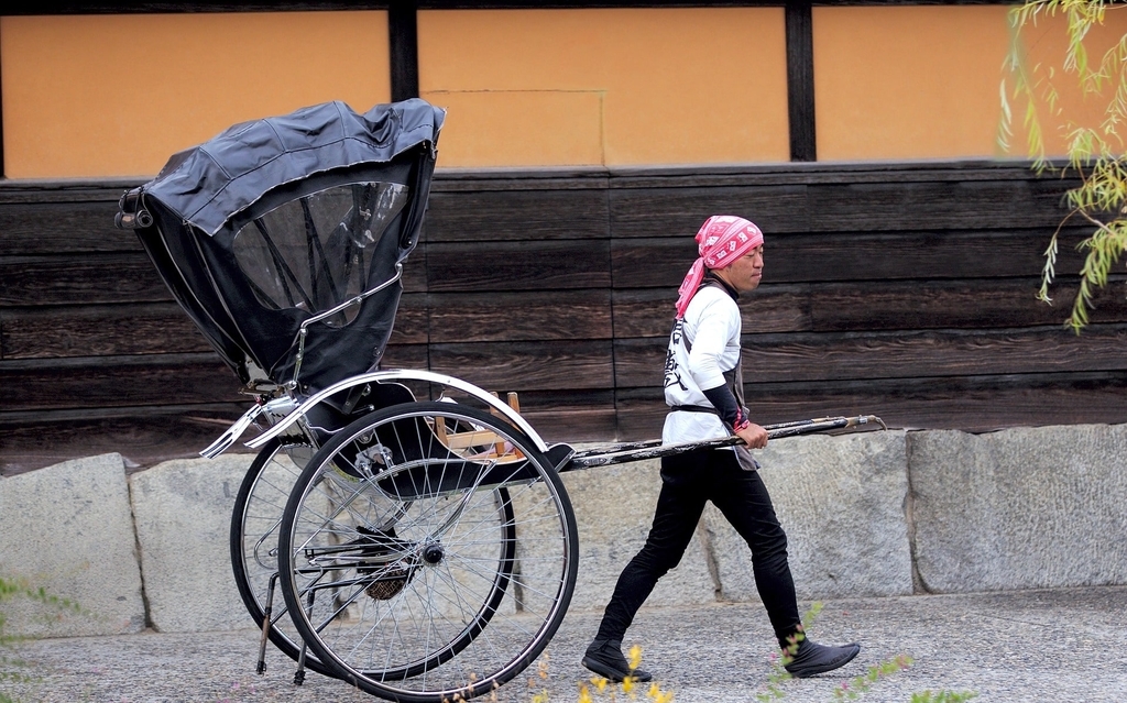 f:id:mimi_shiro:20190201011837j:plain