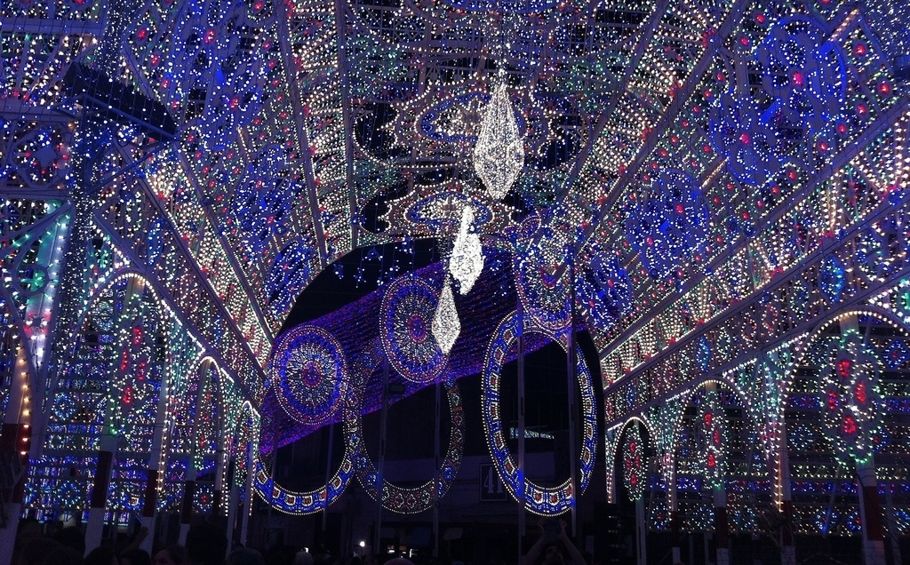 f:id:mimi_shiro:20190201013210j:plain